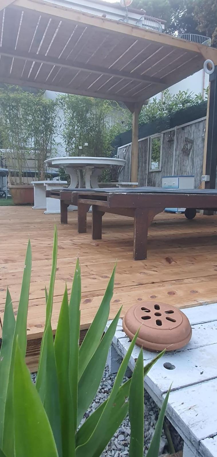Domusauroom, Relax Nel Cuore Della Versilia - Pet Friendly Viareggio Exterior photo